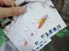 -上海大自然野生昆虫馆(东方明珠·爬宠昆虫探索中心)