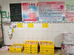 -老袁家蜜桃农场·阳山水蜜桃