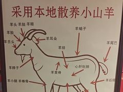 -老村长大锅炖羊肉(榆林大道店)