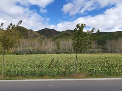 -塞罕坝国家级自然保护区