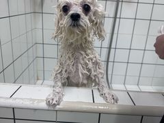 -沐沐家宠物(成寿寺店)