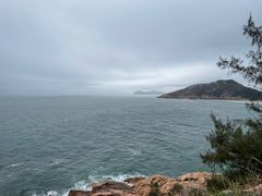 -广东惠东海龟国家级自然保护区