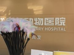 -德元·美联众合24小时动物医院(总院)