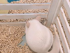 -宠物世家(仲盛世界商城店)