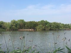 -长兴太湖图影湿地文化园