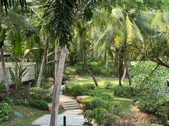 -海南清水湾莱佛士酒店