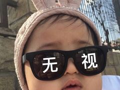 -鲜丰水果