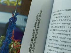 -金珠肉粽