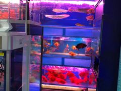 -双季花艺园艺市场(浦东店)