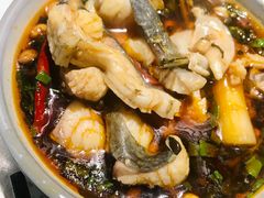 鱼火锅-融泽漁悦三只耳鱼火锅(南郑大道店)