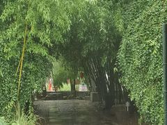 -竹泉村旅游度假区