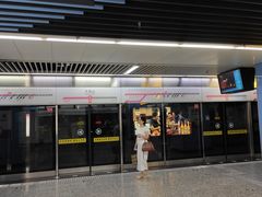 -大龙山(地铁站)