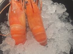 罗氏虾-水木锦堂·自助铁板烧(五道口购物中心店)