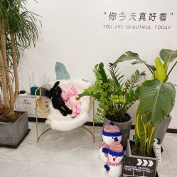 -久匠·野生眉半永久纹眉