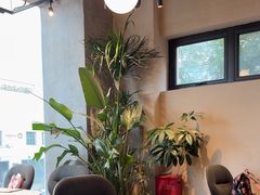 -Wagas沃歌斯(北京君太百货店)