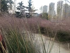 -张之洞与武汉博物馆