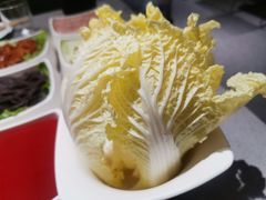 娃娃菜-海底捞火锅(河东万达广场店)