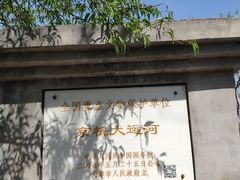 -桃花堤公园