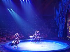 -珠海横琴长隆《卡卡虎奇遇记》