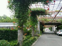 -渔堂公园餐厅·本帮菜(乐园路店)