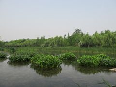 IMG_8386-新江湾城公园