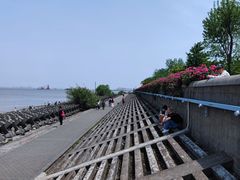 -上海滨江森林公园