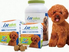 -爱宠屋pet shop·宠物洗澡·宠物美容