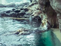 -西雅图水族馆