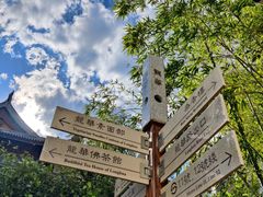 -龙华素斋(龙华路店)