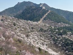 -白羊峪长城旅游区