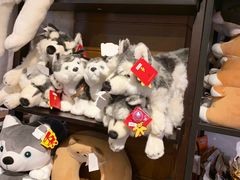 -TrueLove @ Neverland (Husky Cafe)