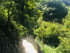 -遂昌金矿国家矿山公园