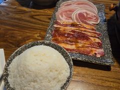 -火烈鸟
