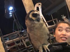 -清迈夜间动物园