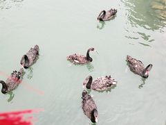 -长白岛森林公园