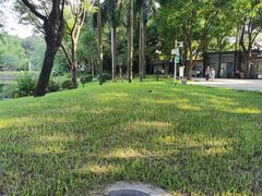 -晓港公园