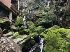 -藏龙百瀑风景区
