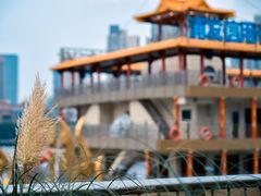 -新龙船黄浦江餐饮游船官方自营店