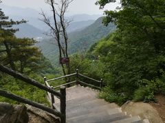 -王顺山国家森林公园