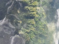 -什刹海