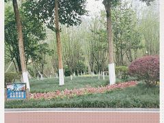 -龙头寺公园