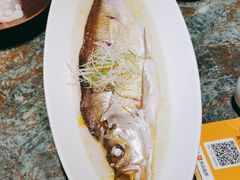 太湖白鱼-苏帮袁Sue Cuisine(南开大悦城店)