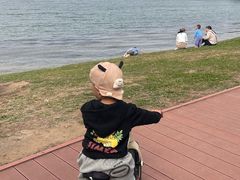 -丁香湖公园