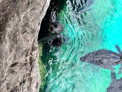 -珠海长隆海洋王国
