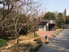 -南翔镇银翔湖公园