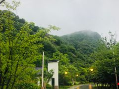 -湘湖金融镇