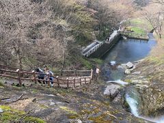 -西安祥峪森林公园