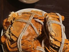 -上海三甲港铂瑞酒店-卓越西餐厅