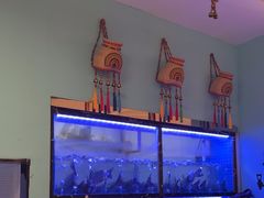 -云中鱼蒸汽石锅鱼(川沙百联店)