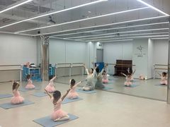 -红舞鞋舞蹈教育(近江校区)